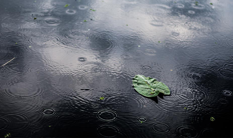 Rainy Season in Costa Rica