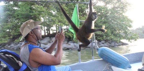 Palo Verde Boat Safari in Tamarindo Costa Rica