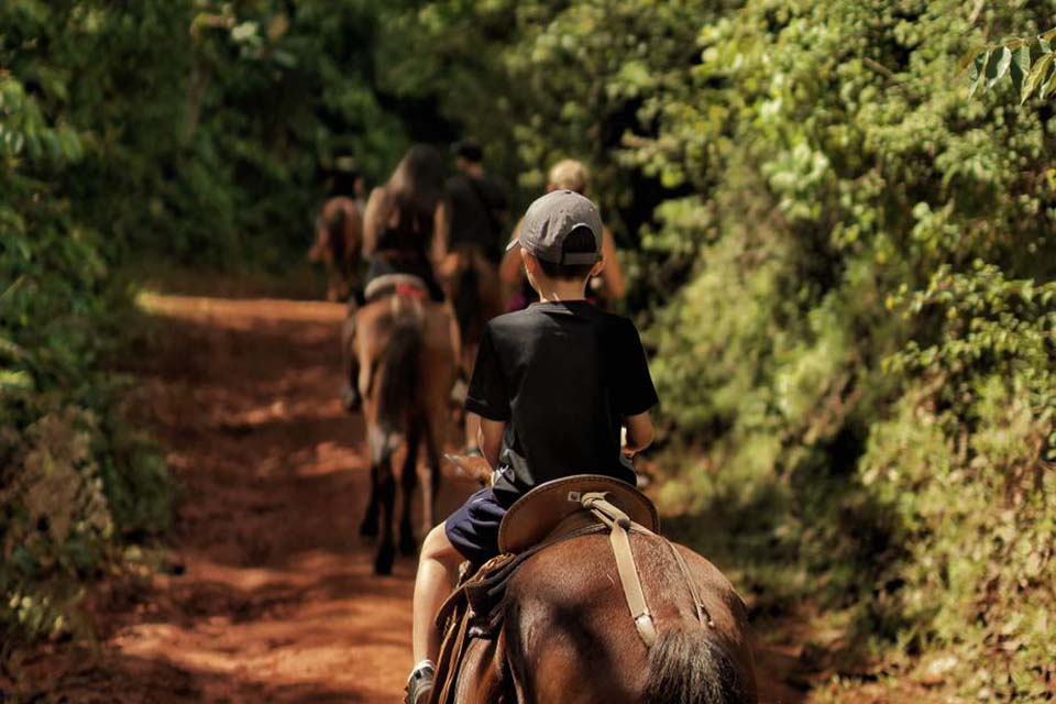 Bijagual Waterfall Horseback, Things to Do in Jaco Costa Rica – Costa Rica Tours