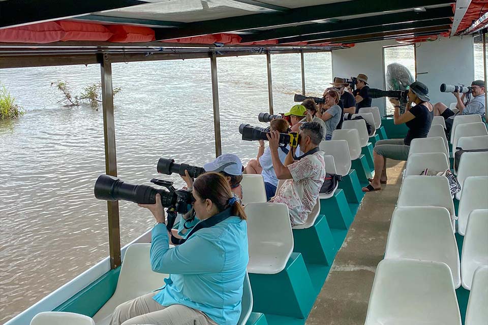 Bird Watching Tour, Things to do in Jaco, Costa Rica – Costa Rica Tours