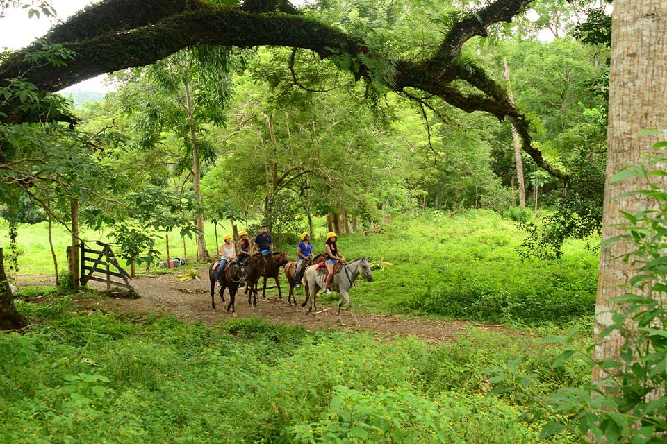 Chocolate Experience & Horseback Combo, Things to Do in Jaco, Costa Rica – Costa Rica Tours