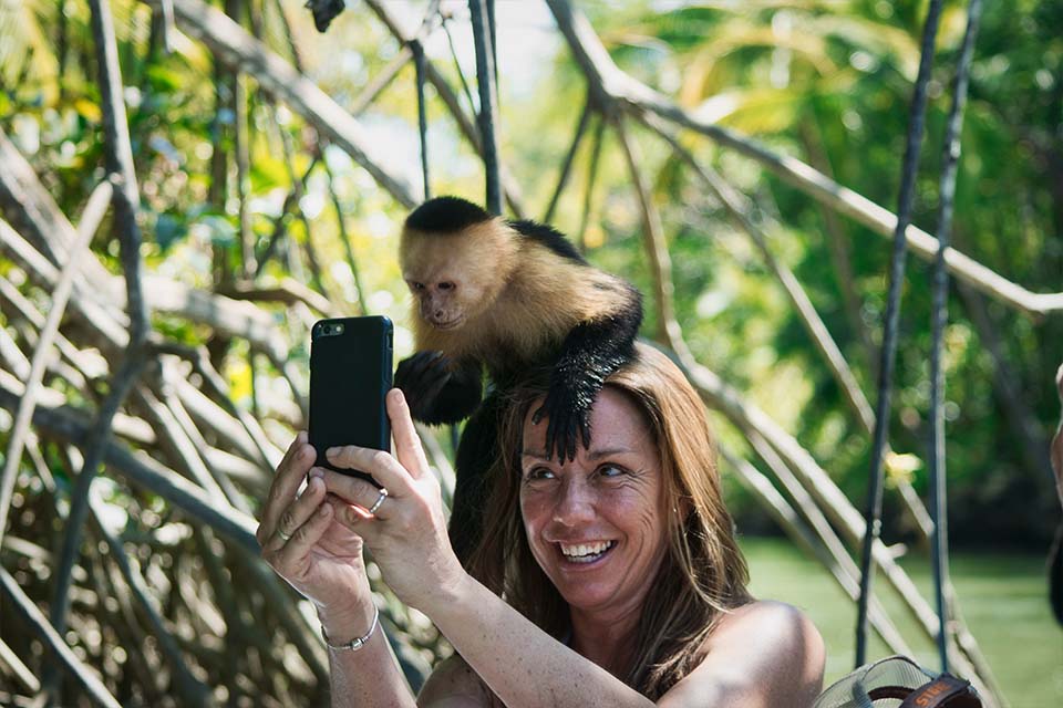 Monkey Mangrove Tour, Things to Do in Jaco, Costa Rica – Costa Rica Tours