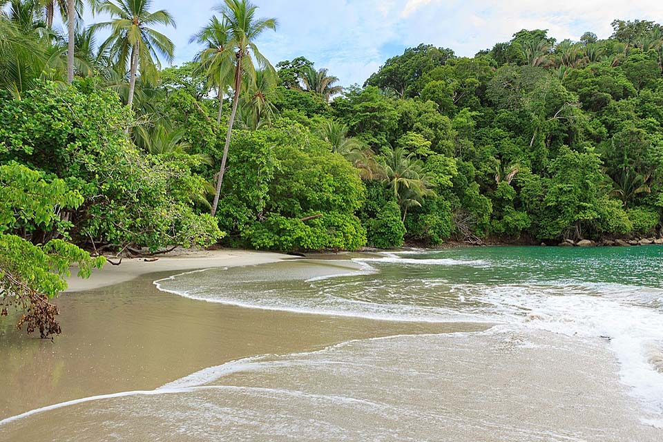 Manuel Antonio & Monkey Combo, Things to do in Jaco, Costa Rica