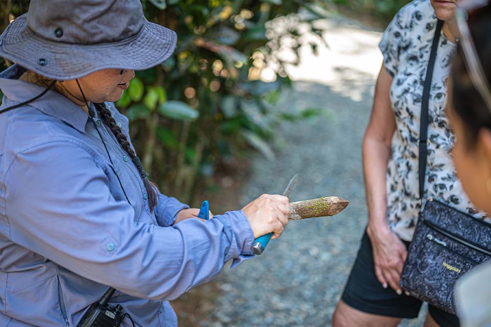 Vanilla Spice Tour, Things to Do in Manuel Antonio, Costa Rica – Costa Rica Tours