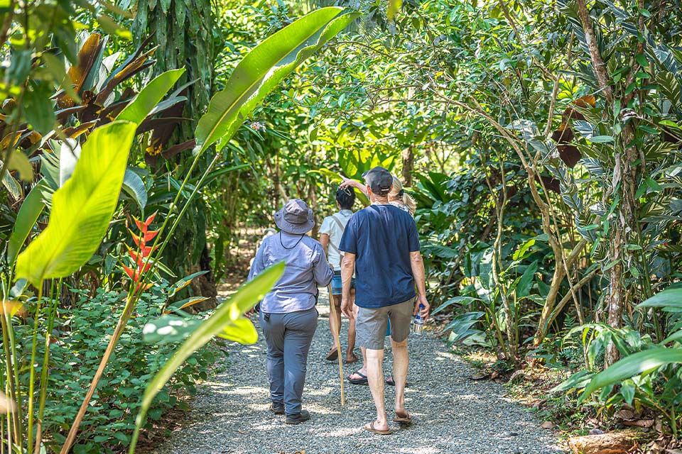 Vanilla Spice Tour, Things to Do in Manuel Antonio, Costa Rica – Costa Rica Tours