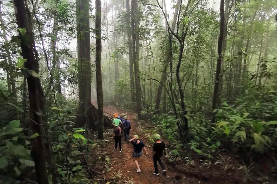 Rainy Season in Costa Rica: Make the Most of Your Trip.