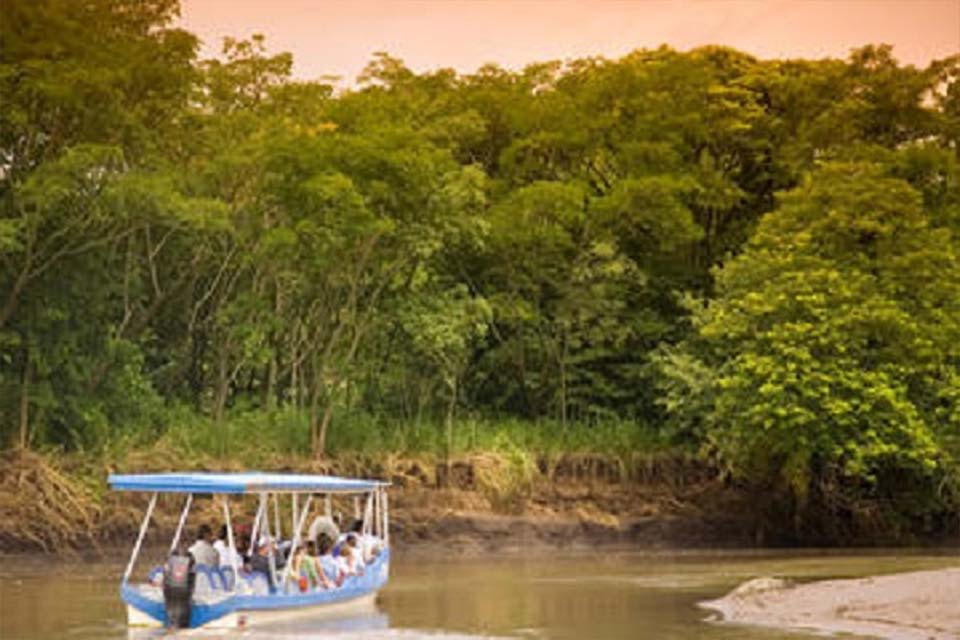 Palo Verde Boat Safari, Things to Do in Tamarindo, Costa Rica. – Costa Rica Tours