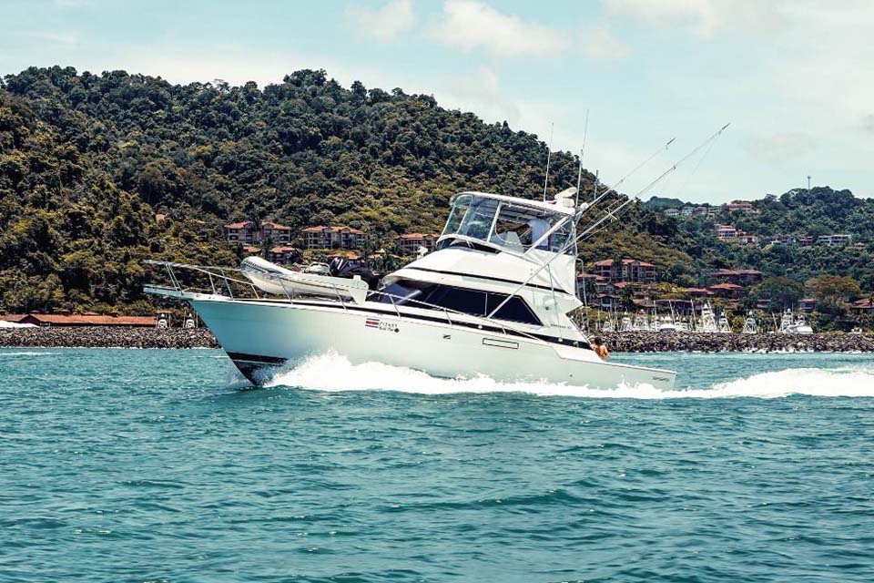 Fishing Charter in Jaco, Gods Plan. Fish – Costa Rica Tours