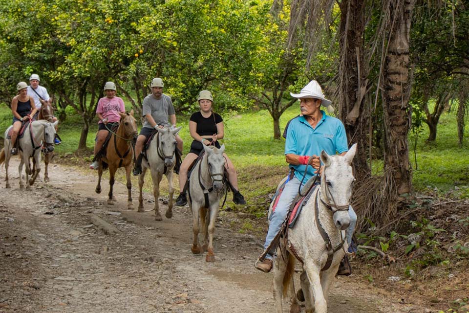 Hot Springs Day Tour, Things to Do in Playas Del Coco, Costa Rica – Costa Rica Tours